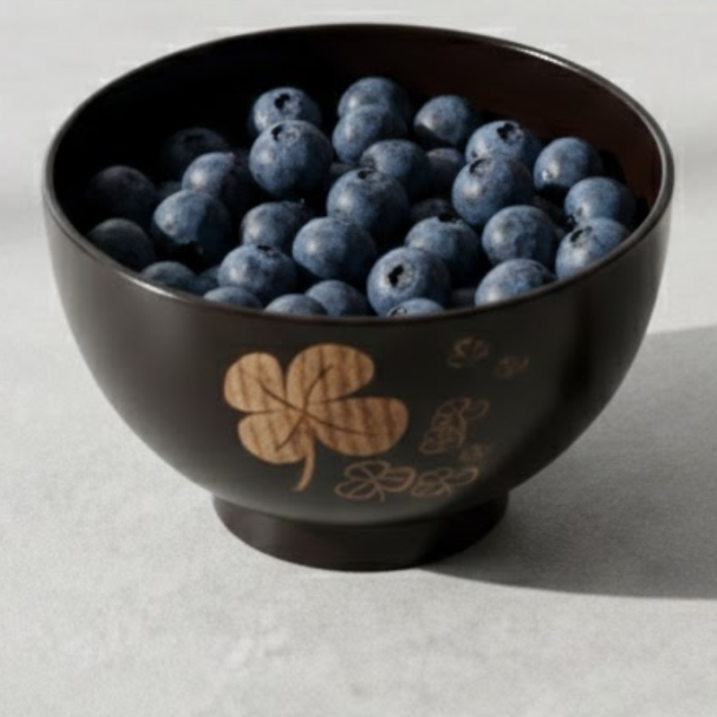 Bol a soupe japonnais