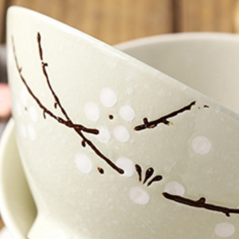 Bol japonais pour nouilles