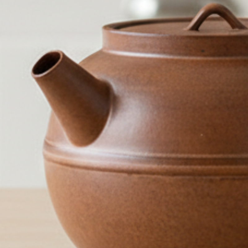 Théière japonaise anse laterale