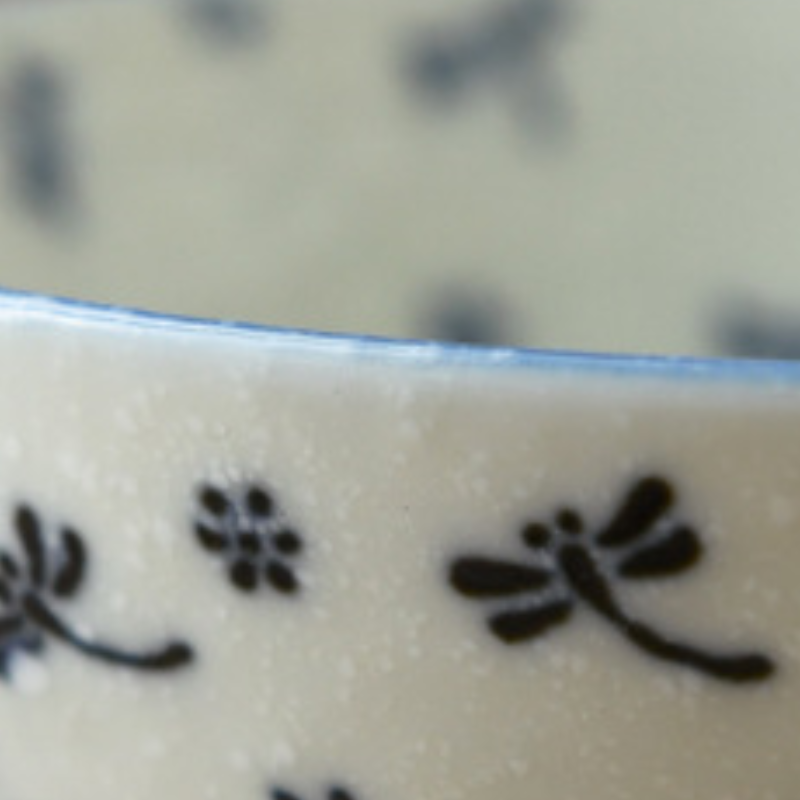 Bol à riz japonais en porcelaine