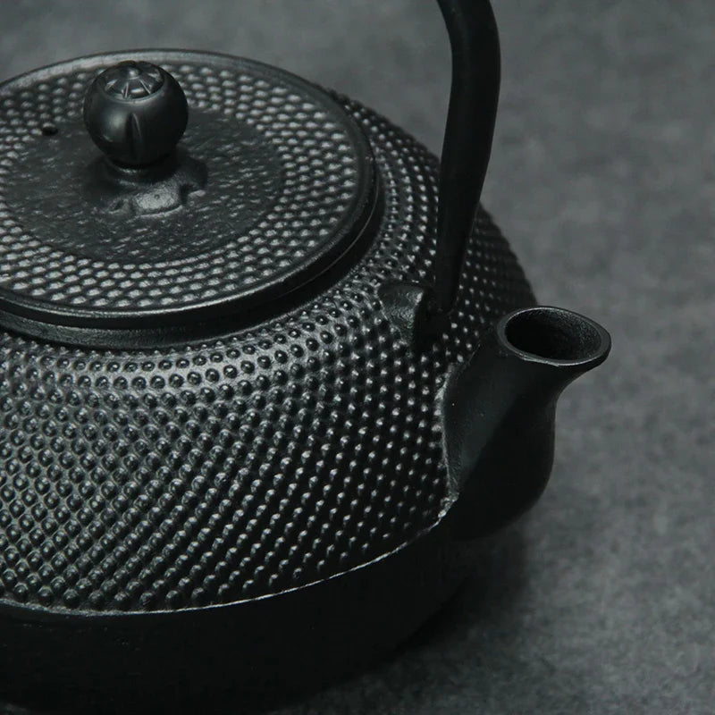 Théière Japonaise Fonte Émaillée